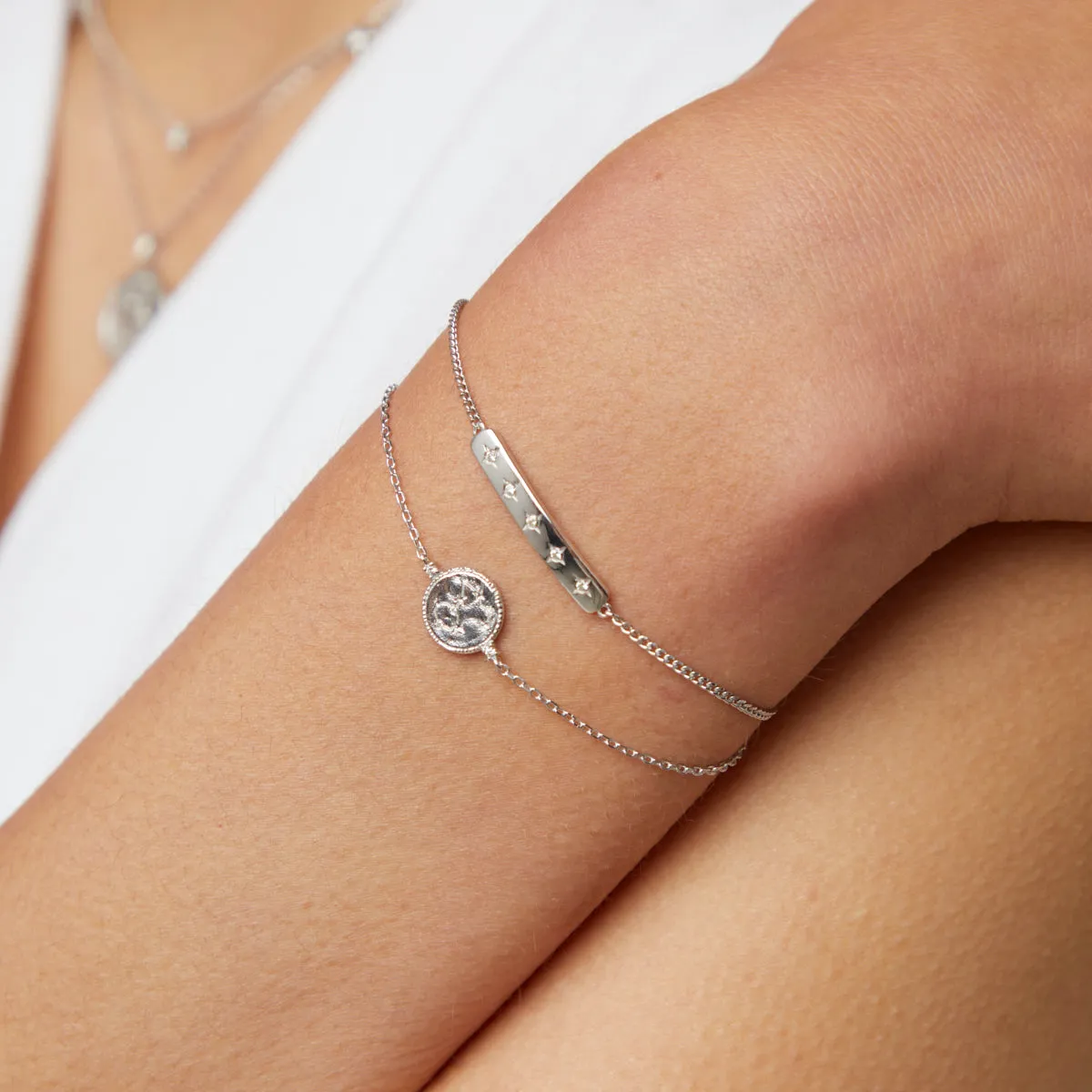 Pisces Zodiac Bracelet in Silver